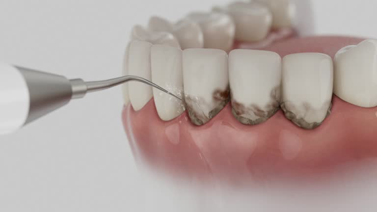 Reliable Dental contractor in Perry Hall, MD by Dentist Open Now